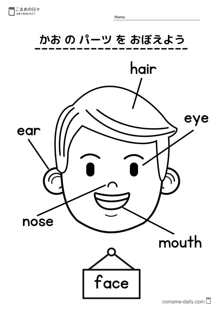 顔のパーツを覚えよう（男の子）