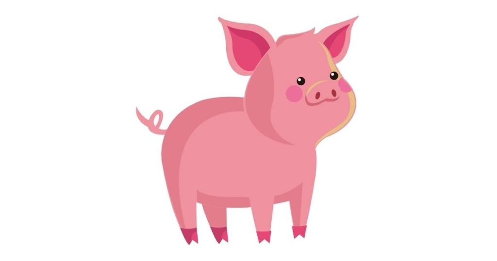 pig　イメージ
