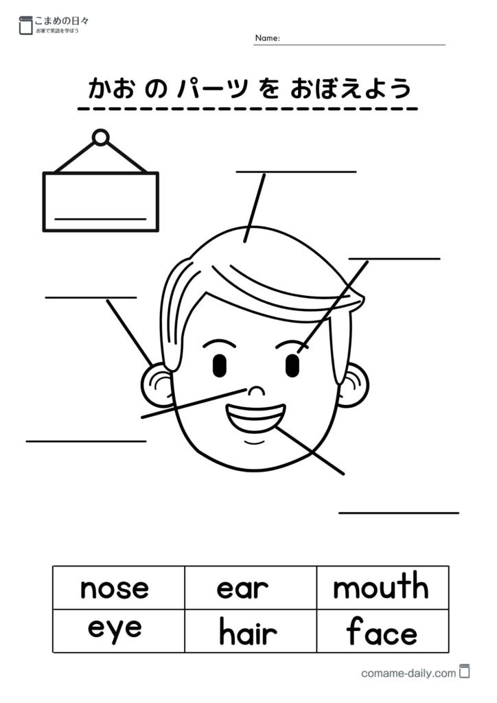 顔のパーツを覚えようプリント2イメージ