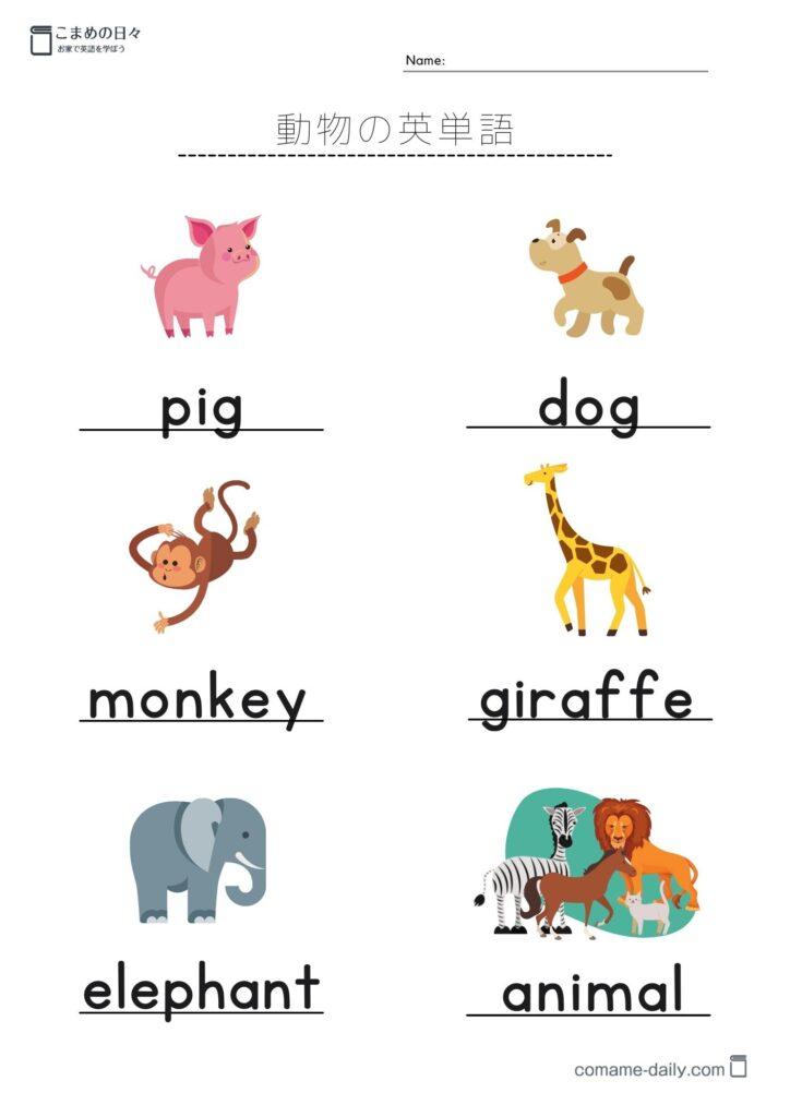 動物の英単語学習プリントカラー１
